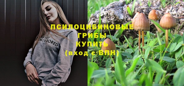 2c-b Беломорск