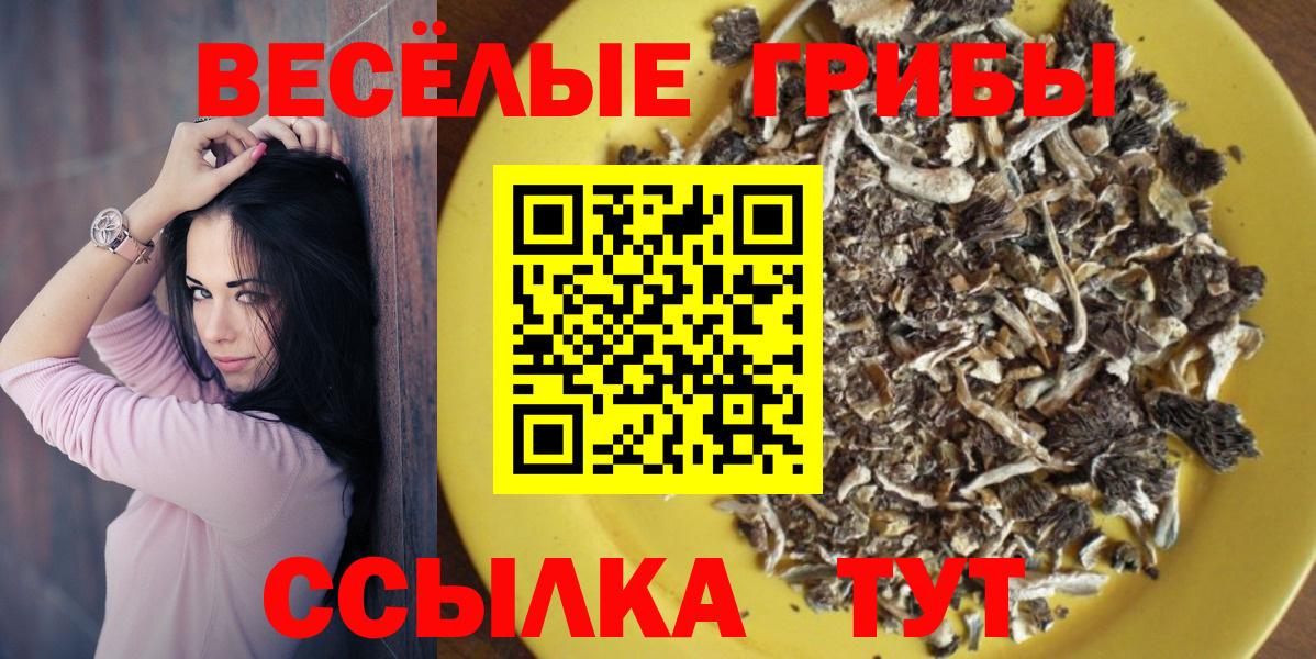 Буйнакск  цена   Вход с VPN  Галлюциногенные грибы Psilocybe 