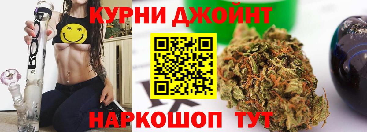 Конопля сатива Буйнакск